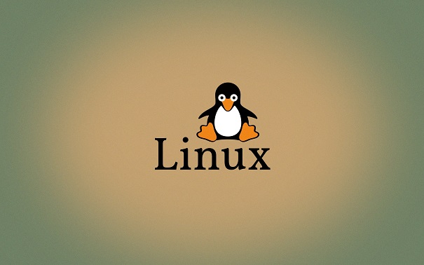 Linux常用的命令有哪些呢