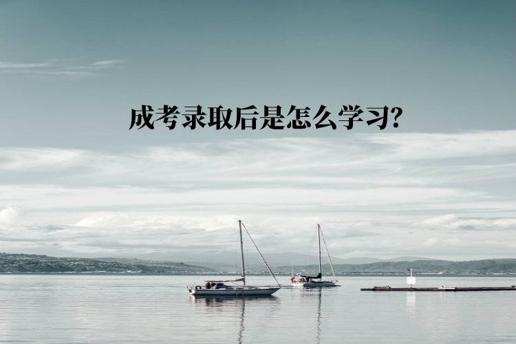 成考錄取后是怎么學(xué)習(xí)？