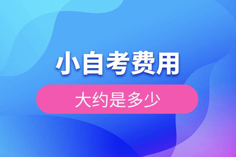 小自考費用大約是多少