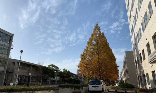 名古屋藝術(shù)大學(xué)申請(qǐng)條件