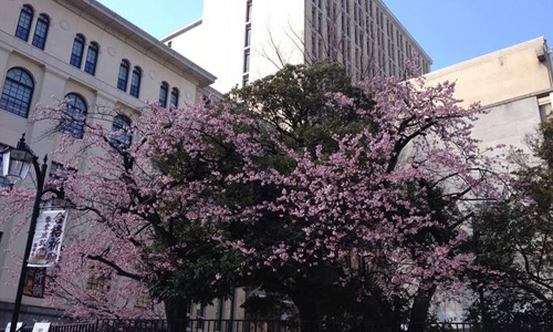 日本東京家政大學(xué)怎么樣？